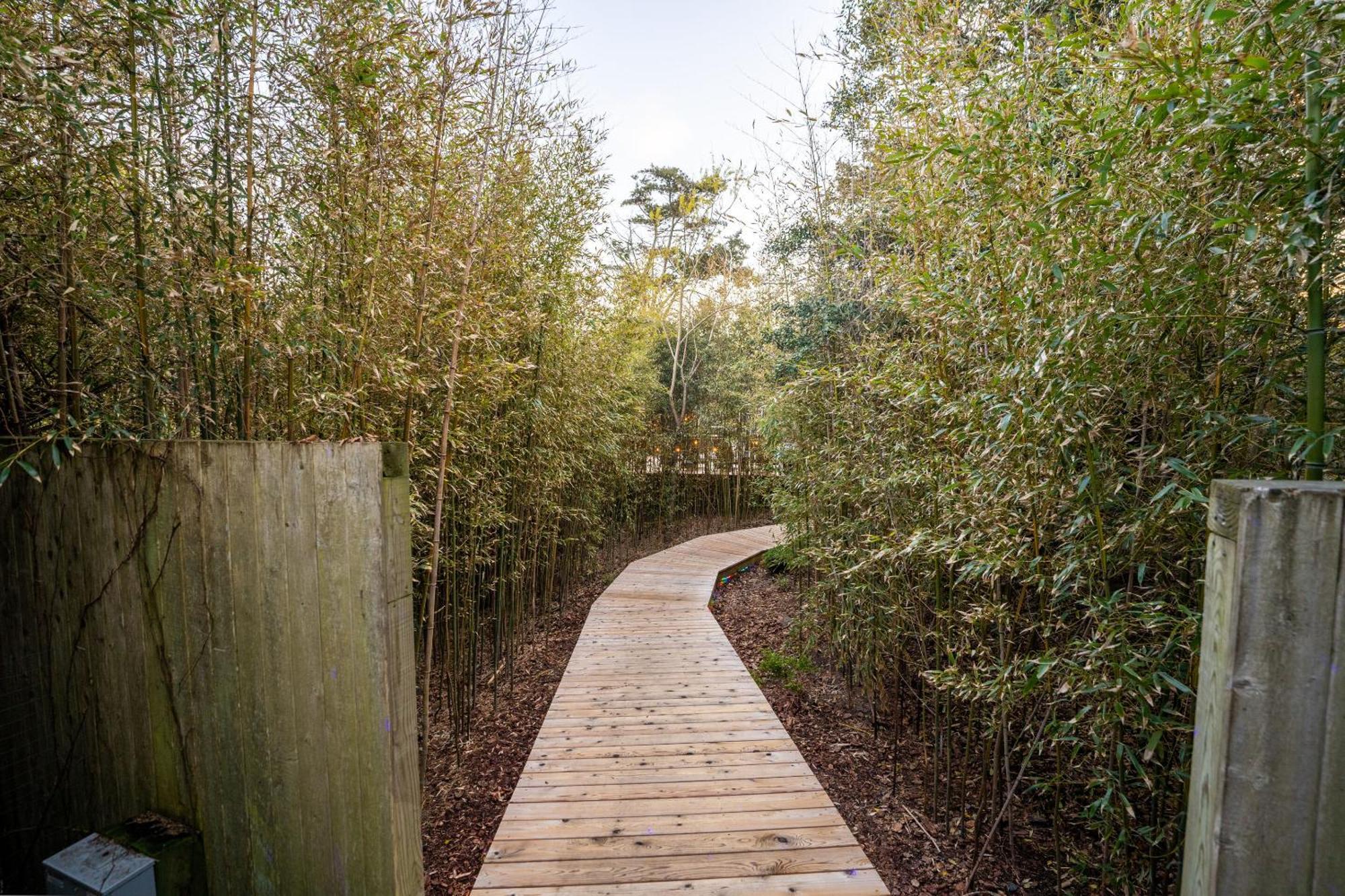 The Madison Fire Island Pines 호텔 외부 사진